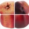 6 PCS Artificial Pomegranates Fake Realistic Simulation Fruits